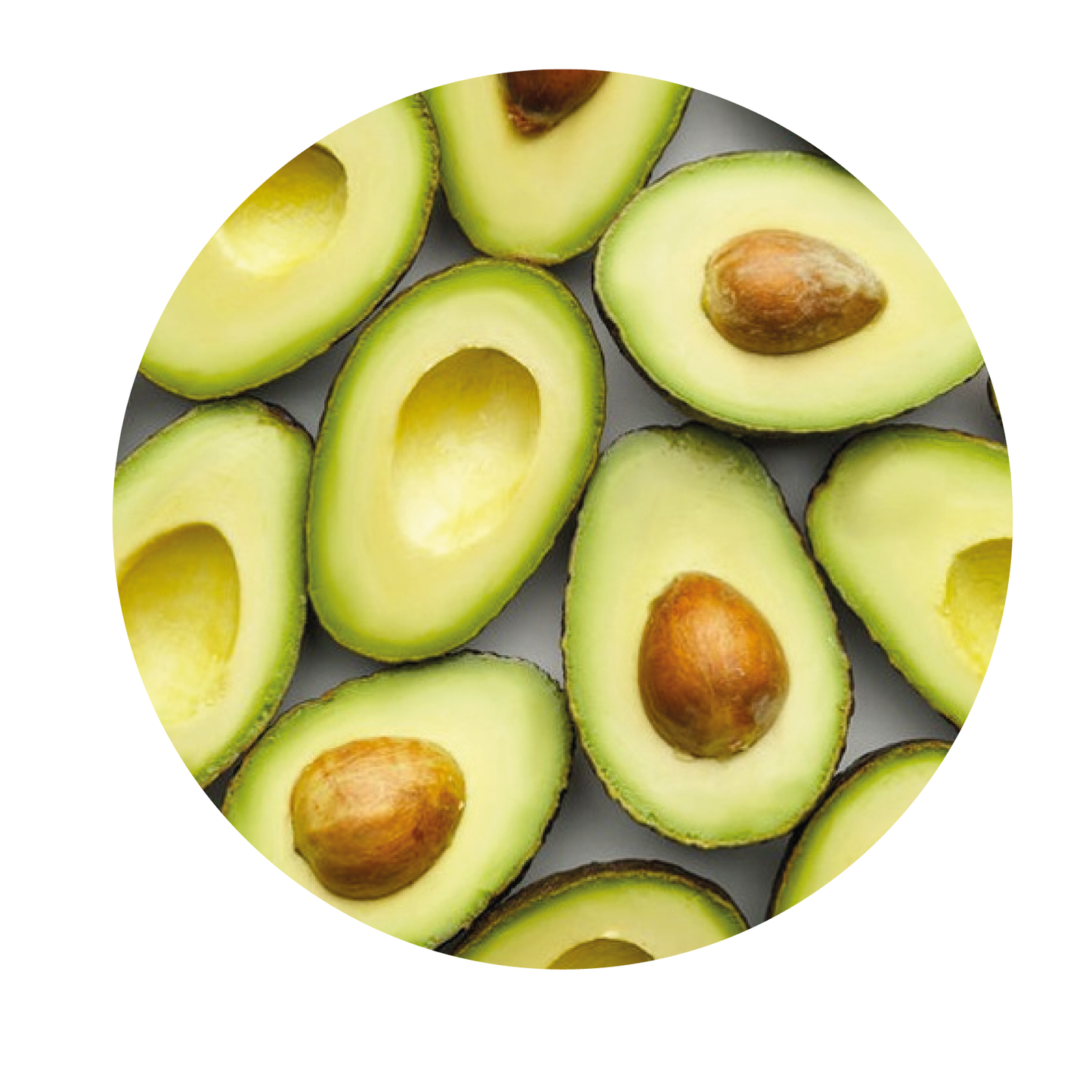 HASS AVOCADO // ORGANIC HASS AVOCADO