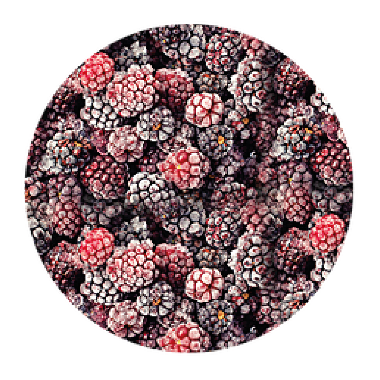 BLACKBERRY ENTERA