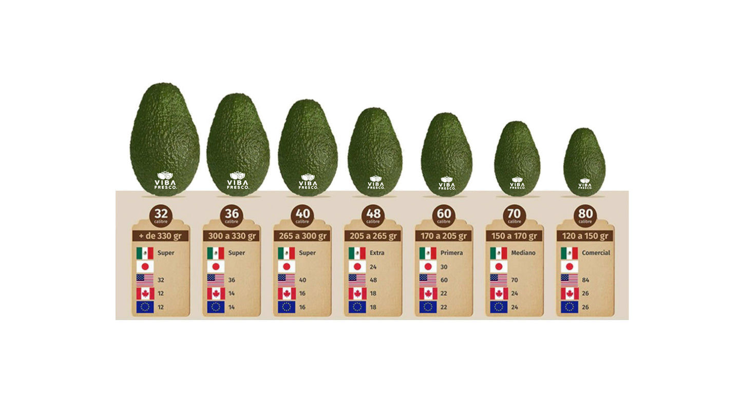 HASS AVOCADO // ORGANIC HASS AVOCADO
