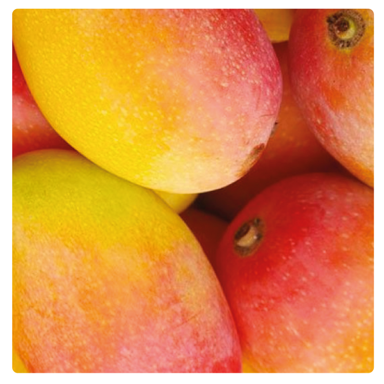 FROZEN MANGO